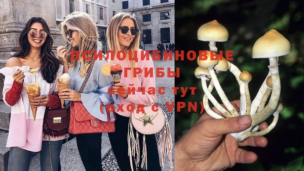 PSILOCYBIN Бугульма